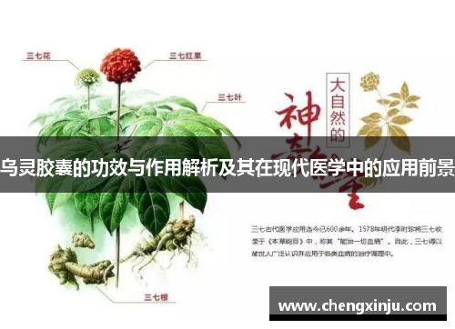 乌灵胶囊的功效与作用解析及其在现代医学中的应用前景
