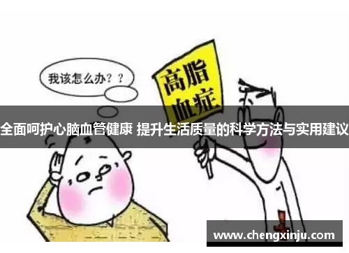 全面呵护心脑血管健康 提升生活质量的科学方法与实用建议
