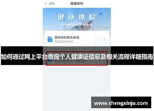 如何通过网上平台查询个人健康证信息及相关流程详细指南