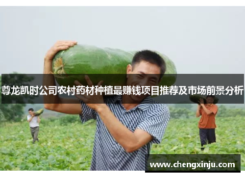 尊龙凯时公司农村药材种植最赚钱项目推荐及市场前景分析
