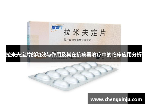 拉米夫定片的功效与作用及其在抗病毒治疗中的临床应用分析