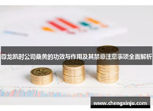 尊龙凯时公司桑黄的功效与作用及其禁忌注意事项全面解析