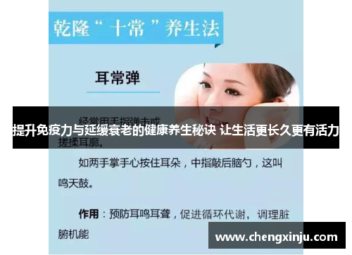 提升免疫力与延缓衰老的健康养生秘诀 让生活更长久更有活力